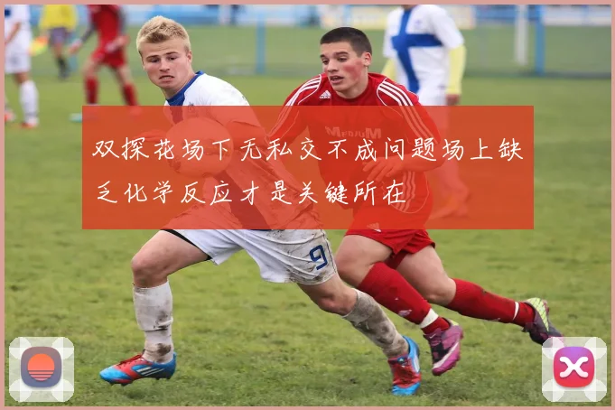 双探花场下无私交不成问题场上缺乏化学反应才是关键所在